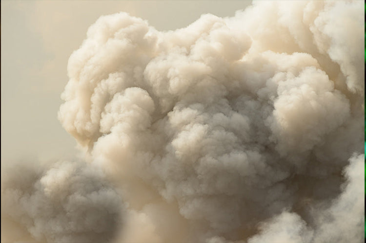 What The Bushfires Taught Us About Air Purifiers