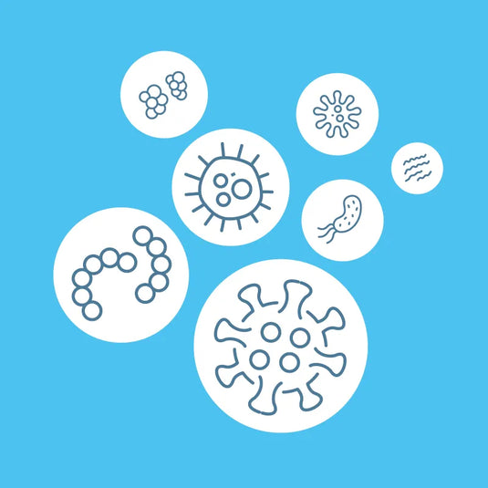 What can be removed from the air by an air purifier?