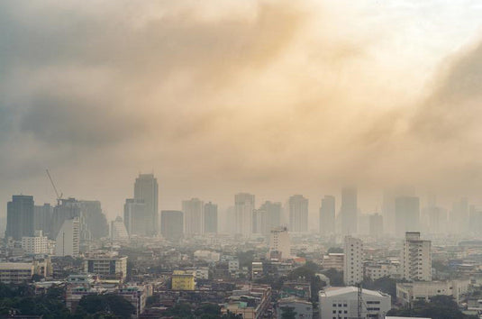 Air Pollution Found to Increase the Mortality Rates of COVID-19