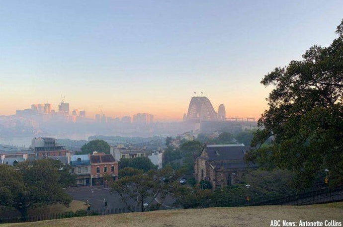 The Best Air Purifier for Bushfire Smoke Removal.