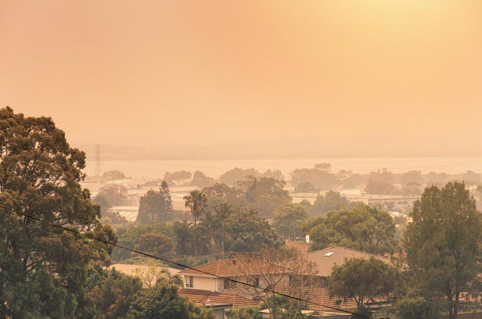 What is PM 2.5 Air Pollution and Why You Should Be Concerned About It.
