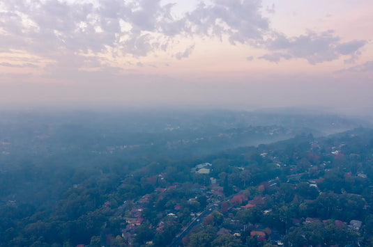 How we are dealing with unprecedented demand for our air purifiers this bushfire season