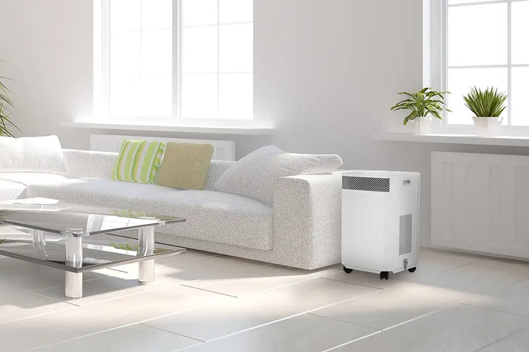 Rod Marshdale shares his experience using INOVA Air Purifiers