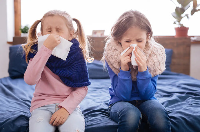 Air Hygiene and Staying Safe Indoors.