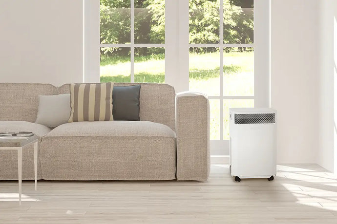 Zara's E20 Air Purifier Review.